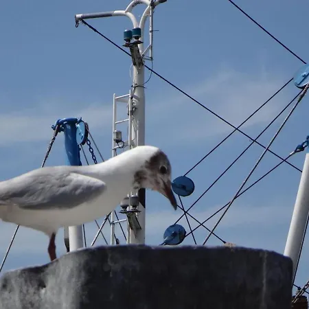 Haus Marie Prázdninový dům *